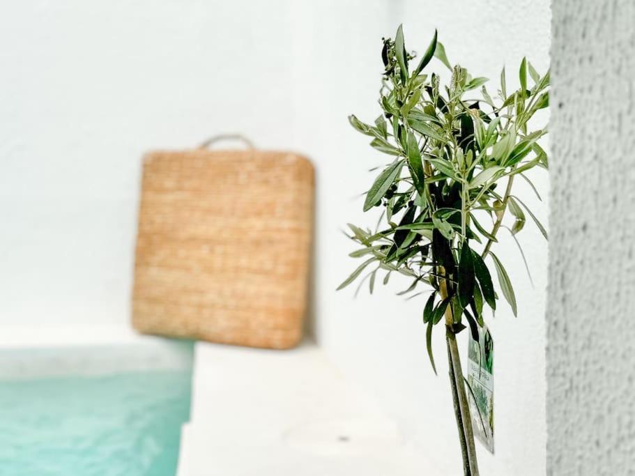 Costa Inn Beach House With Pool By Homeful Homes Costa da Caparica Bagian luar foto